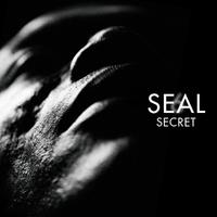 Seal-Secret  立体声伴奏