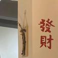春狗歌手图片