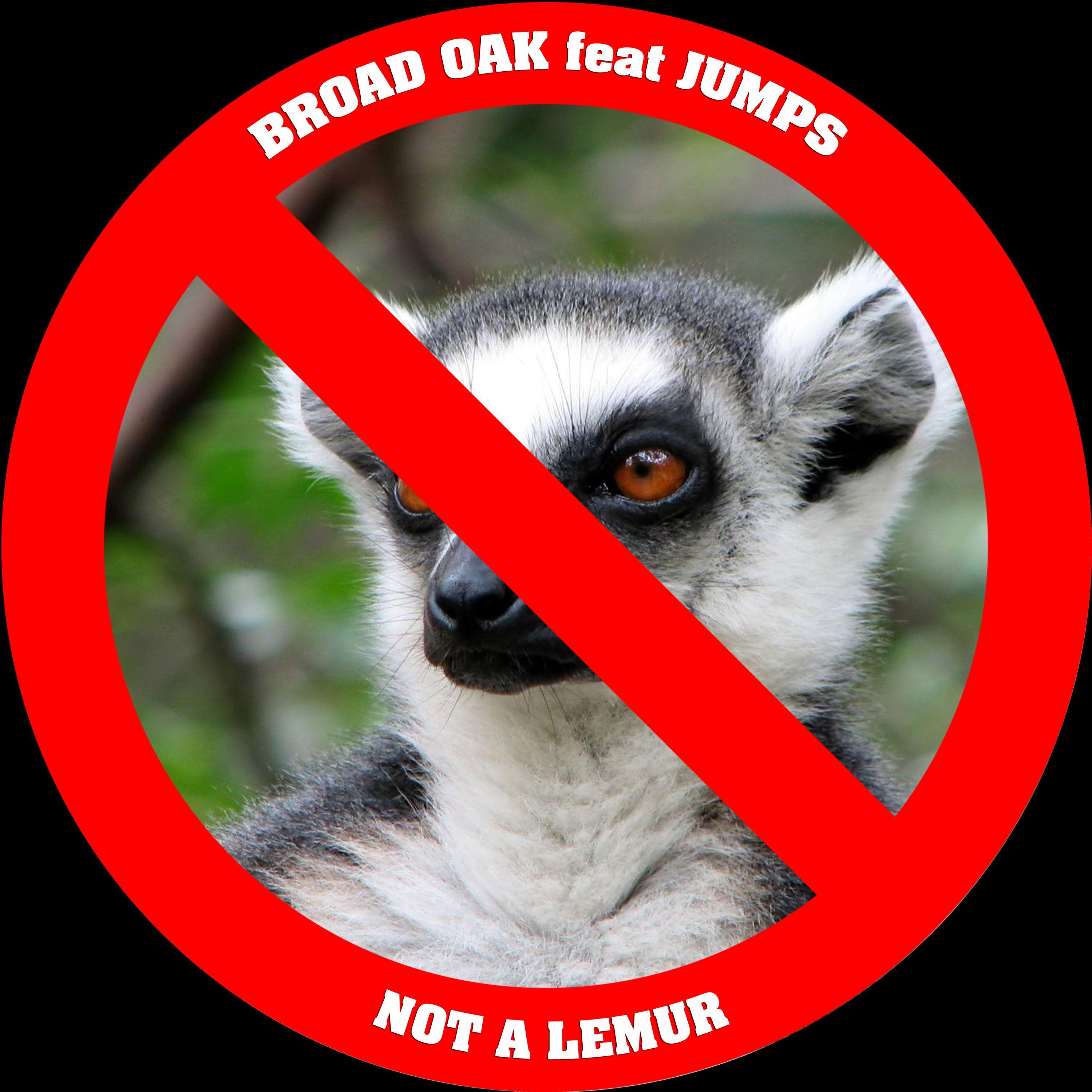 Not a Lemur