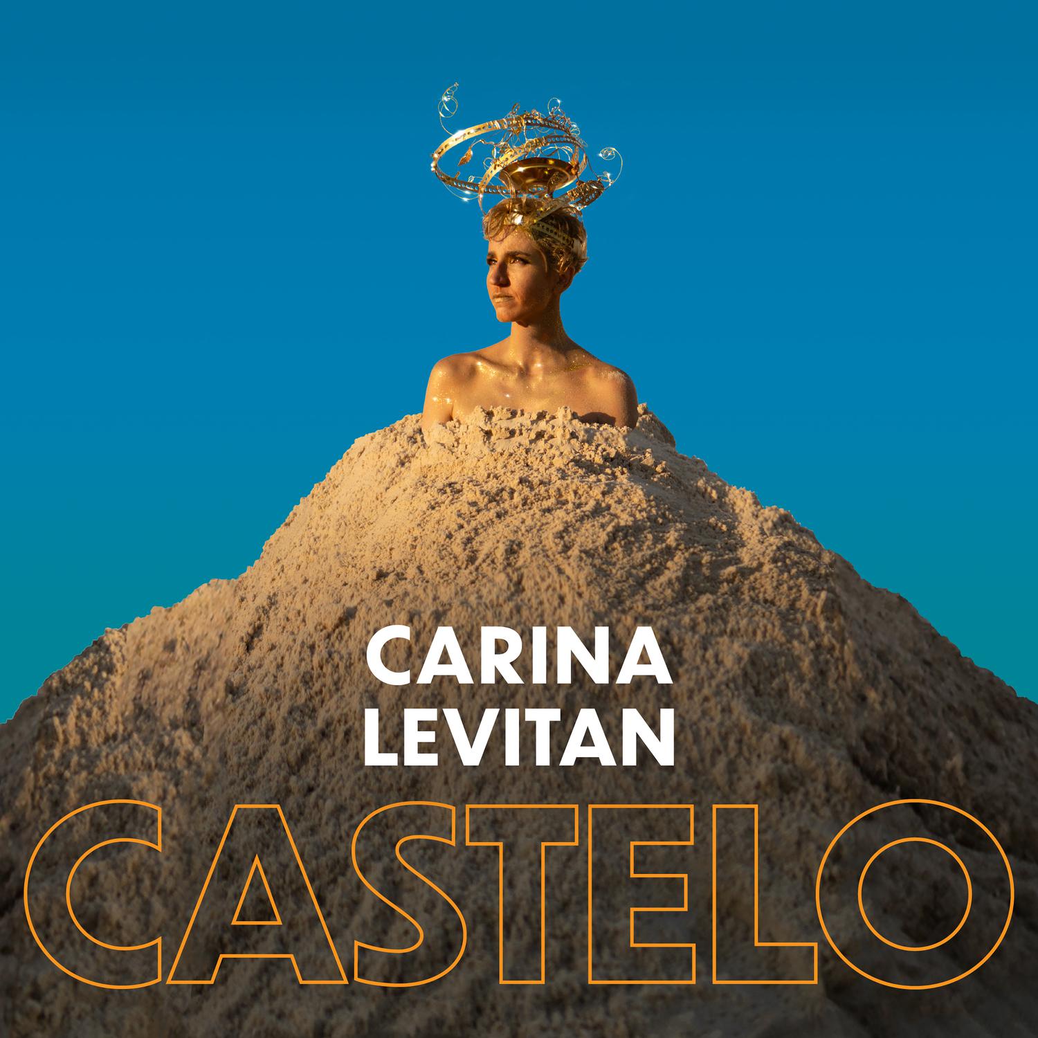 Carina Levitan - Rio Poluído