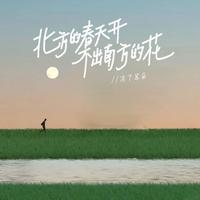 冻了耳朵 - 北方的春天开不出南方的花
