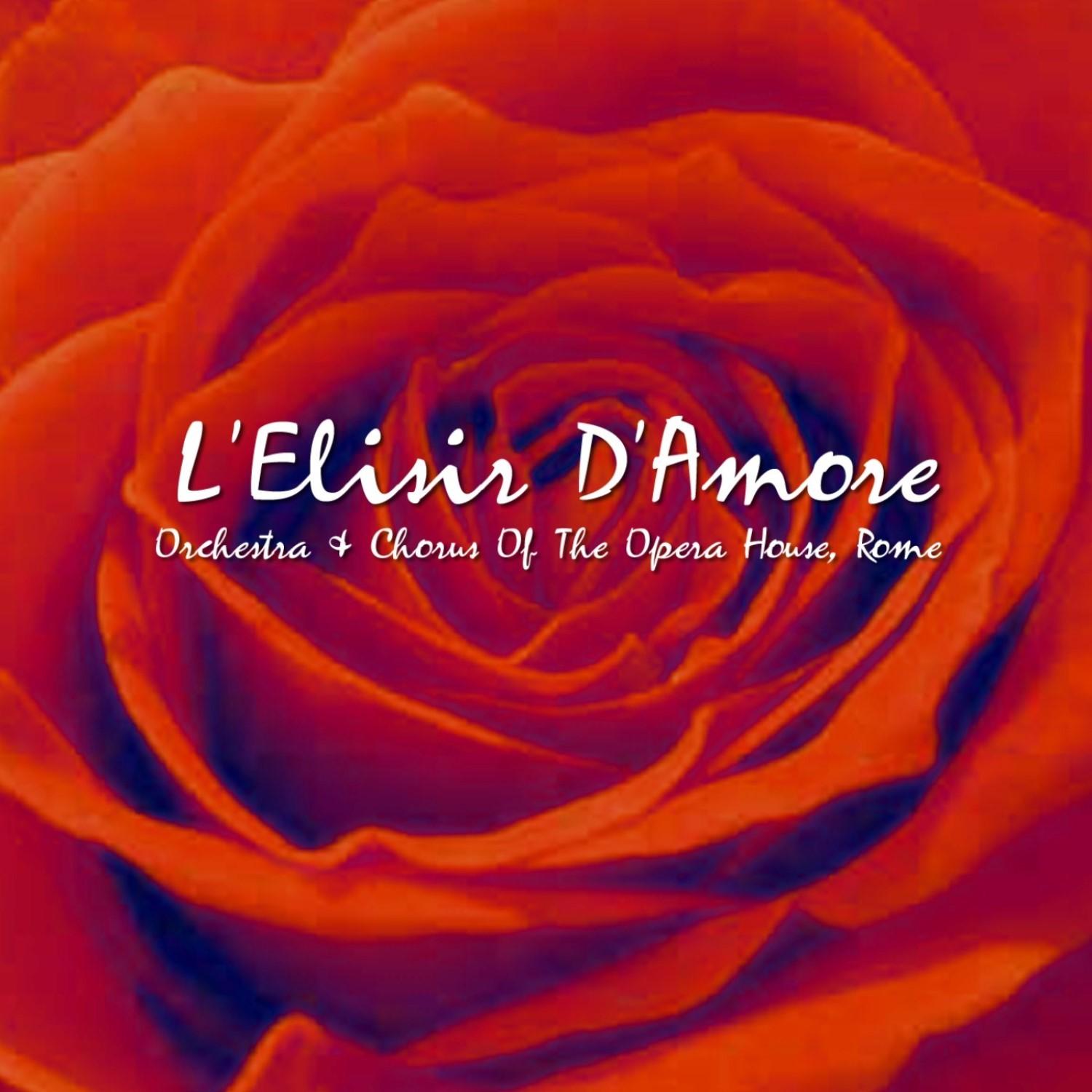 L'Elisir D'Amore