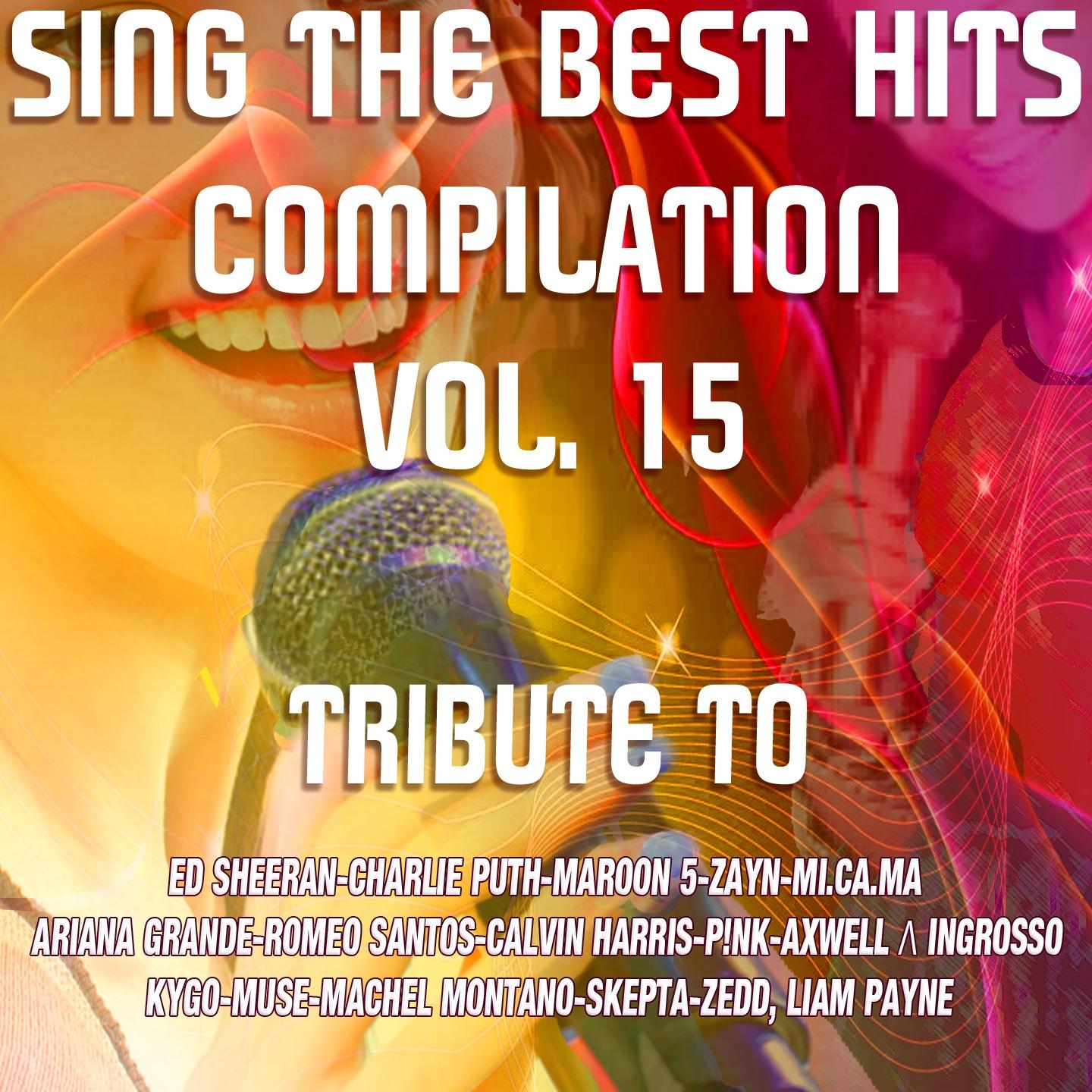Sing The Best Hits Vol 15 (Special Instrumental Versions Tribute To Ed Sheeran-Maroon 5-Zedd Etc..)