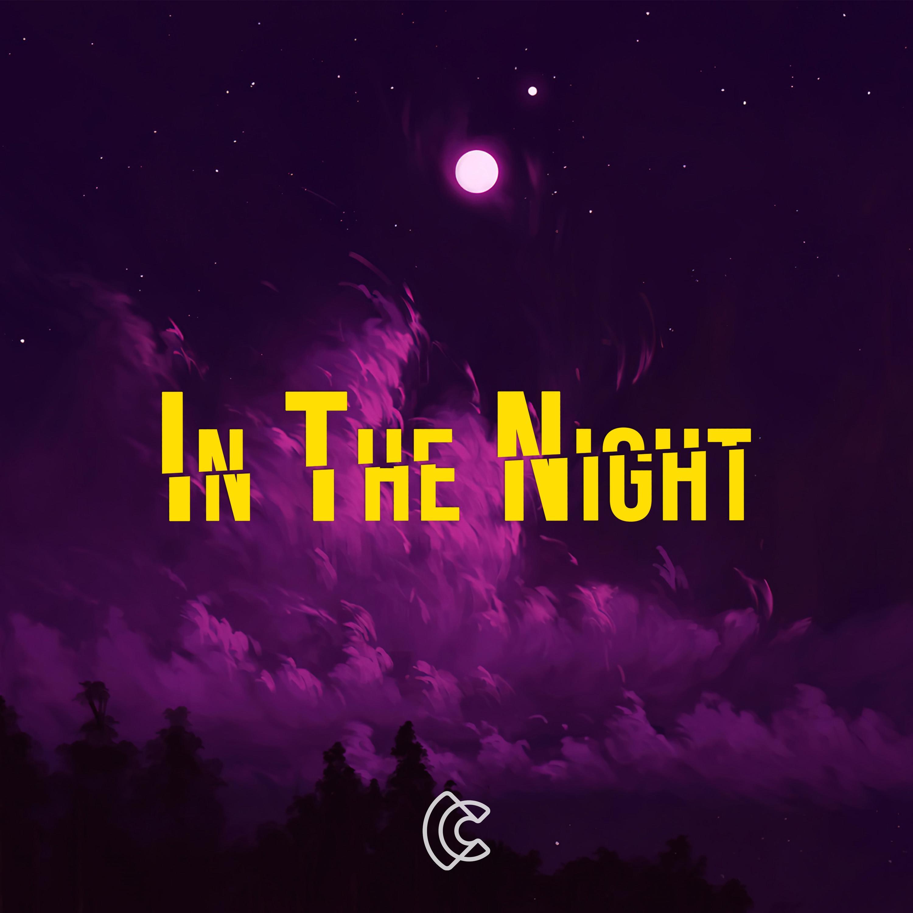 In The Night