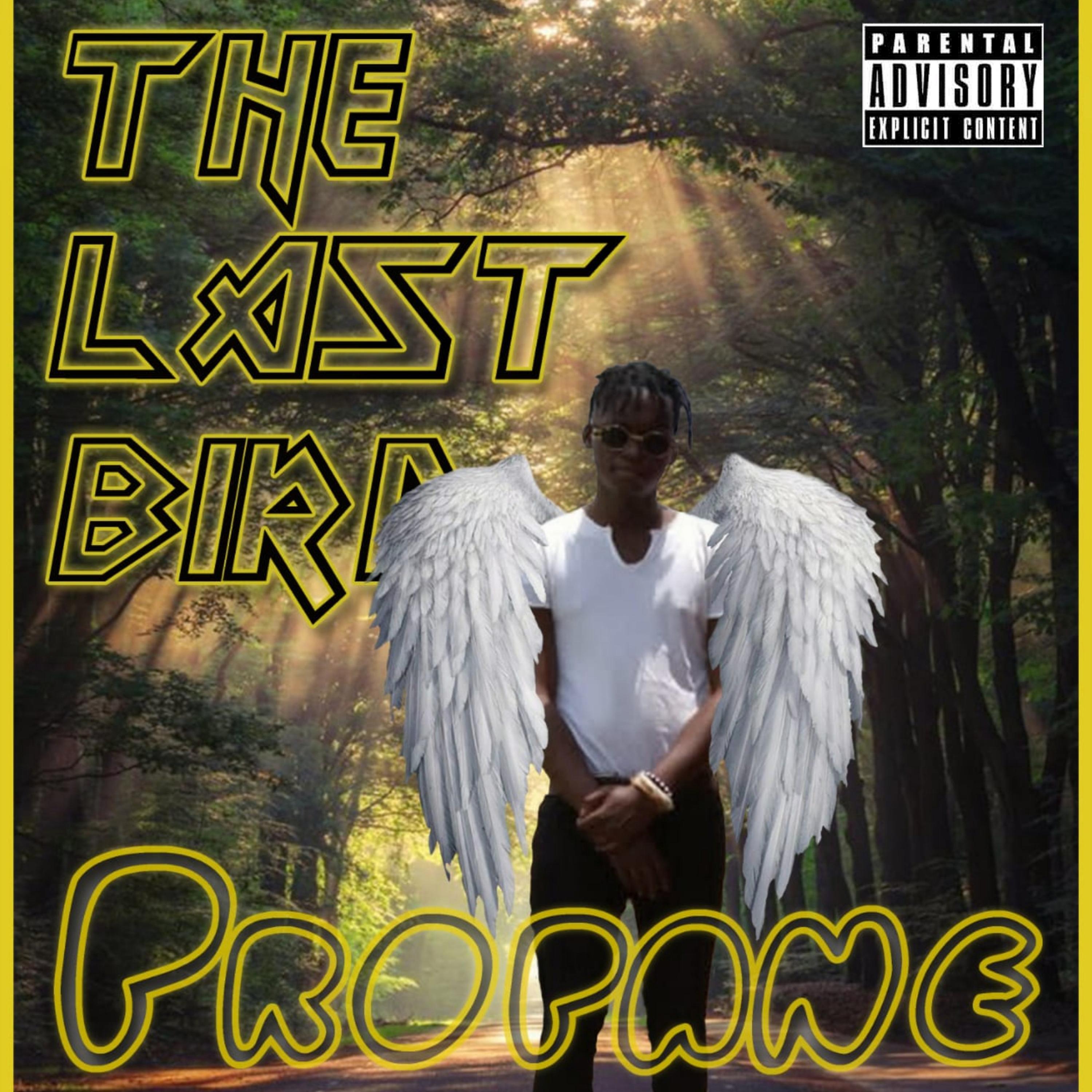 The Last Bird