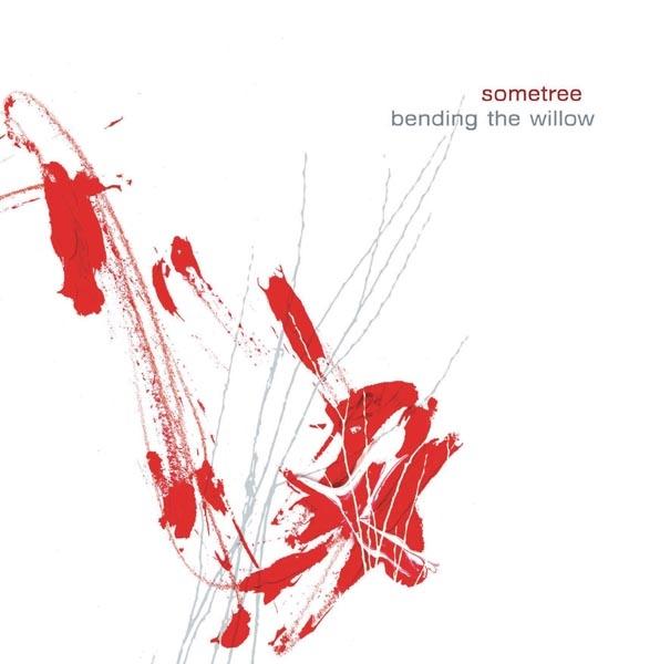 Bending The Willow