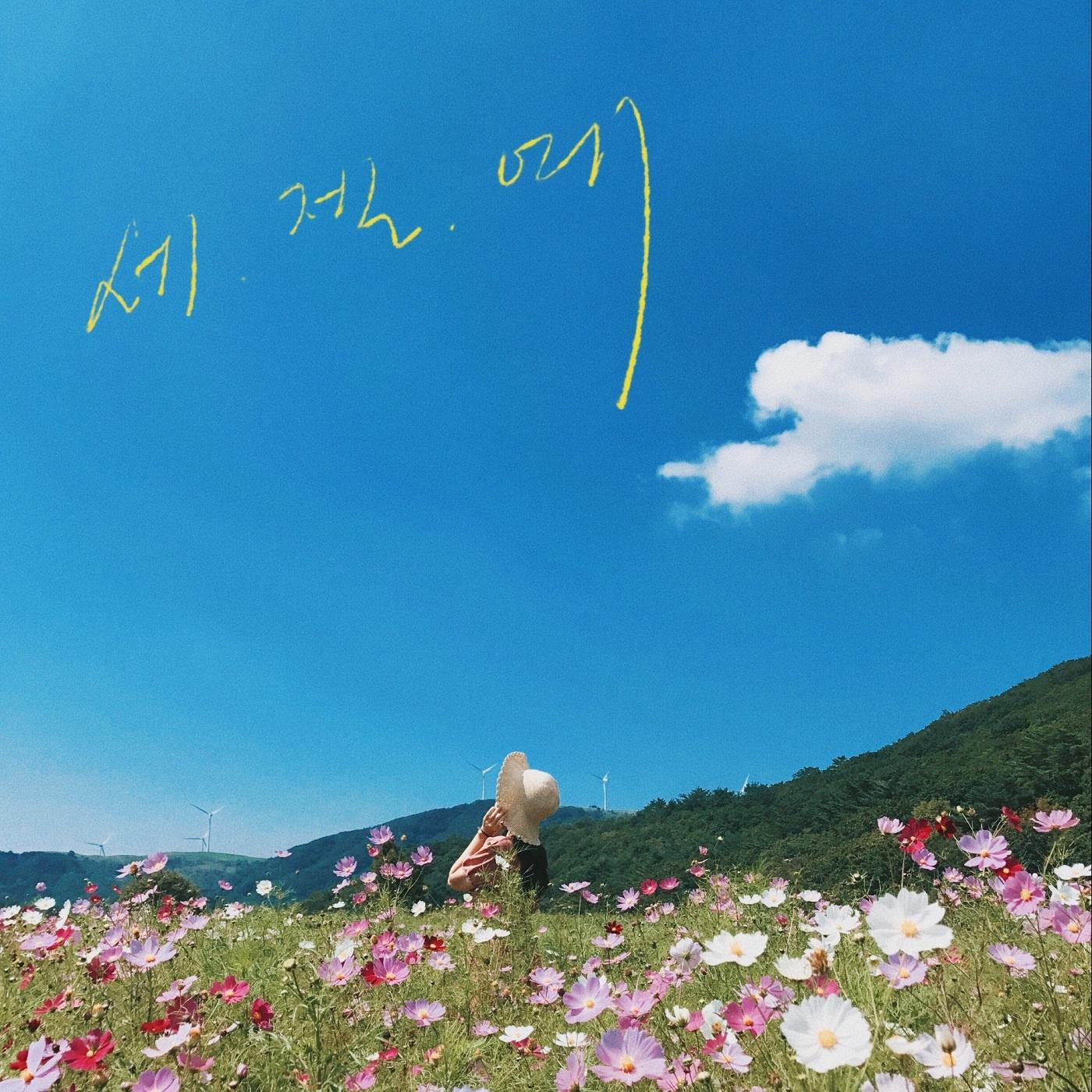 세.젤.예