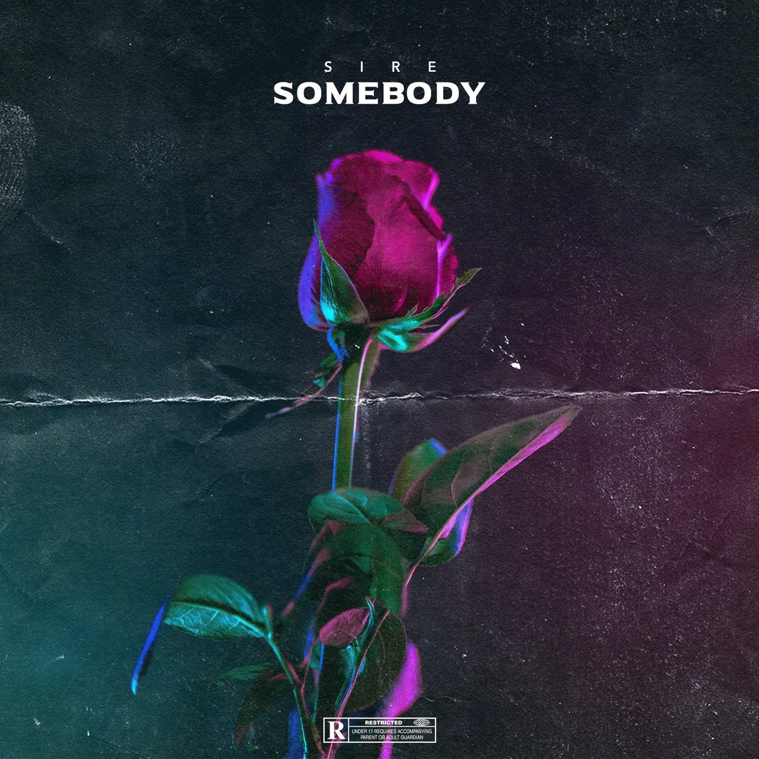 Somebody专辑