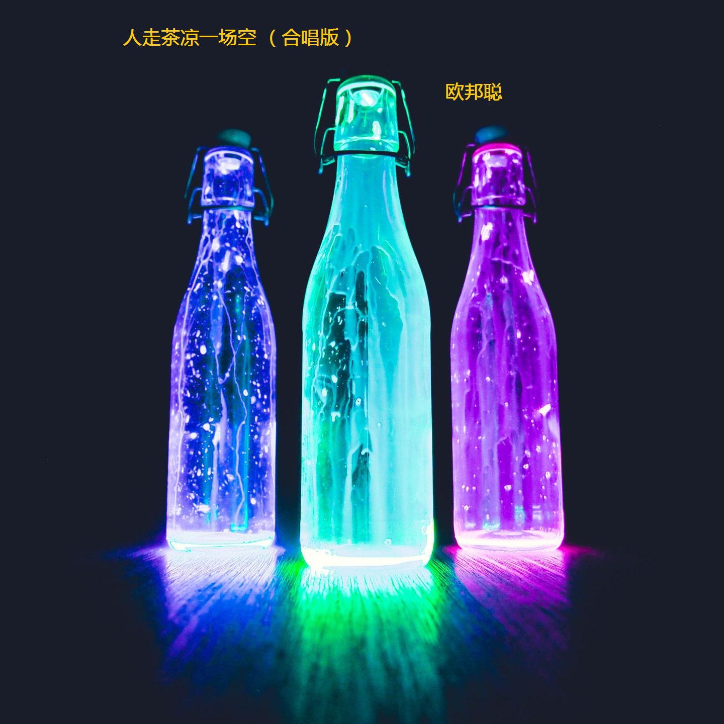 人走茶凉一场空 (合唱版)