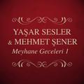 Meyhane Geceleri, Vol. 1