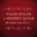 Meyhane Geceleri, Vol. 1专辑