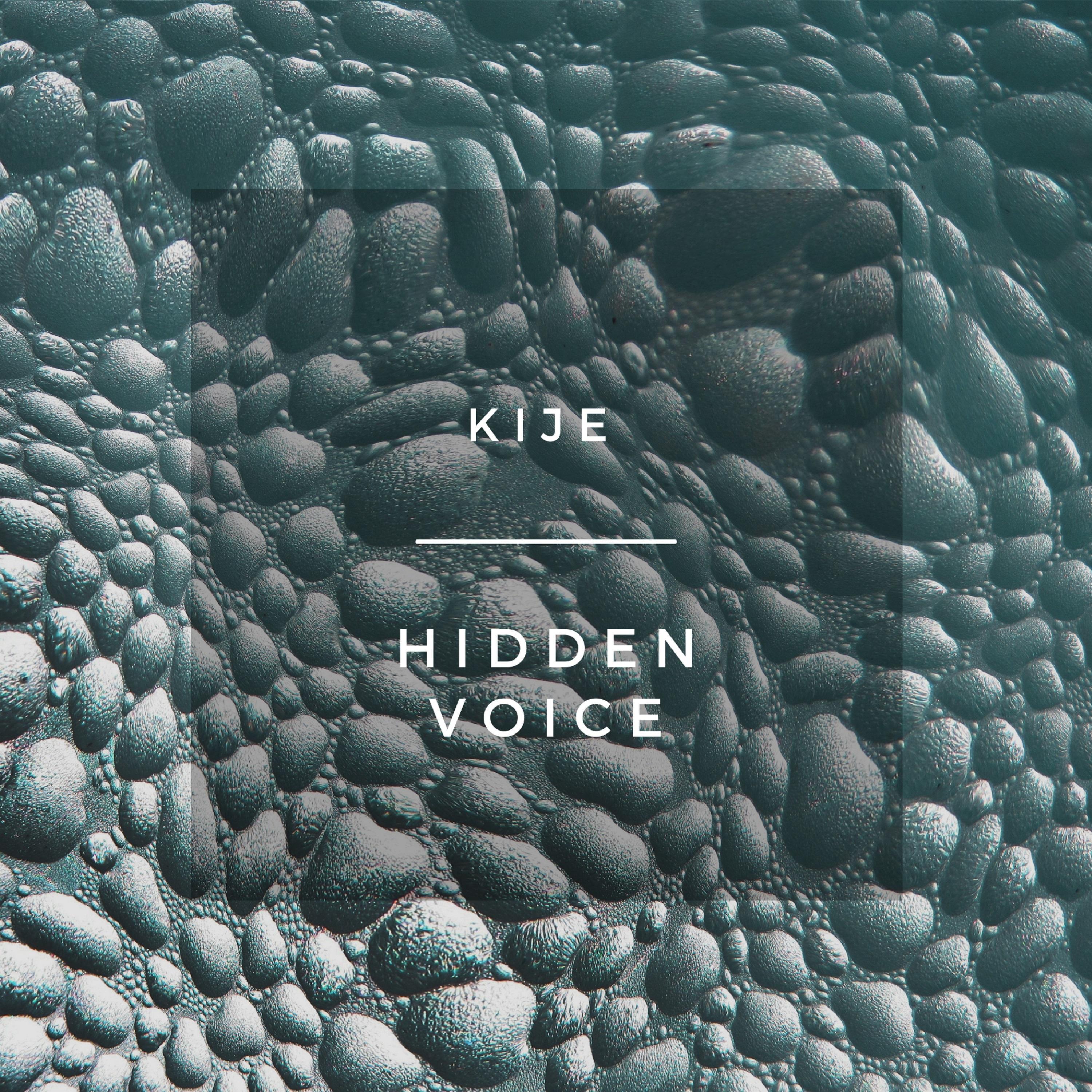 Hidden Voice