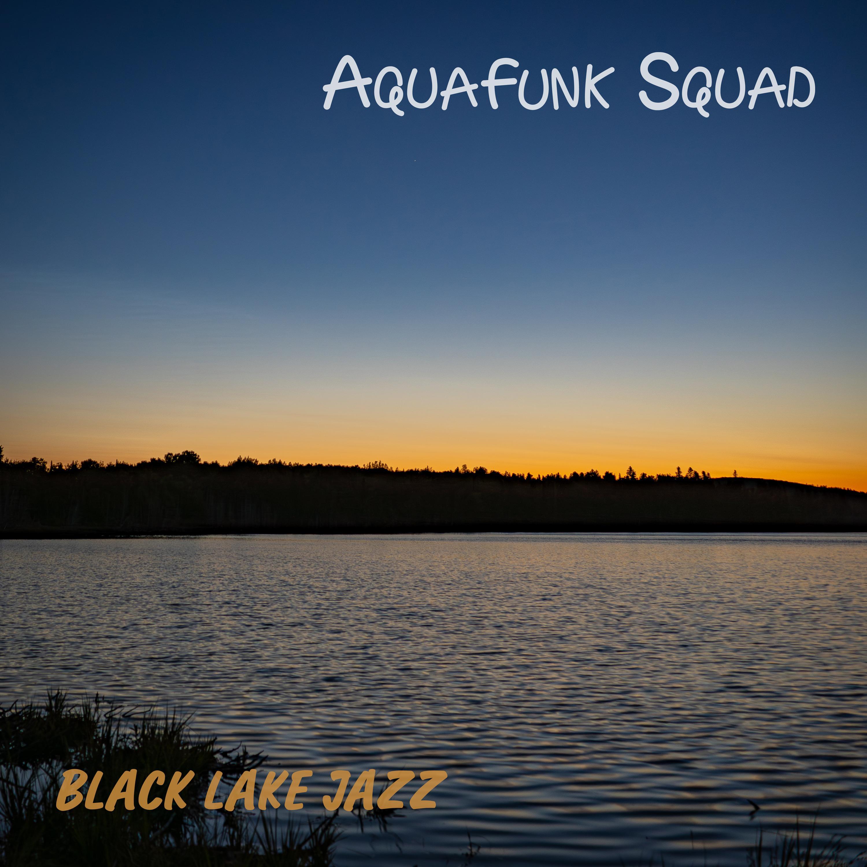 Black Lake Jazz (feat. Cartophile, Inaki & Steve Martin)