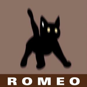 方大同 - ROMEO(原版立体声伴奏) （降5半音）