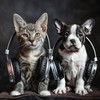 Calm Animals Music - Calm Whiskers Whisper