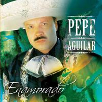 Pepe Aguilar - Por Amarte (Destilo Amor) (karaoke)