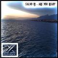 Salvo DJ - Single/2 (JIanG.x Remix)