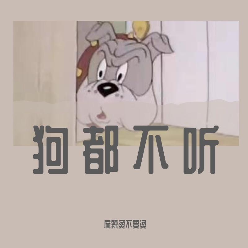 会呼吸的痛（COVER王琪玮）