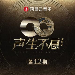 声生不息全集 大湾区季第8期现场Live音频