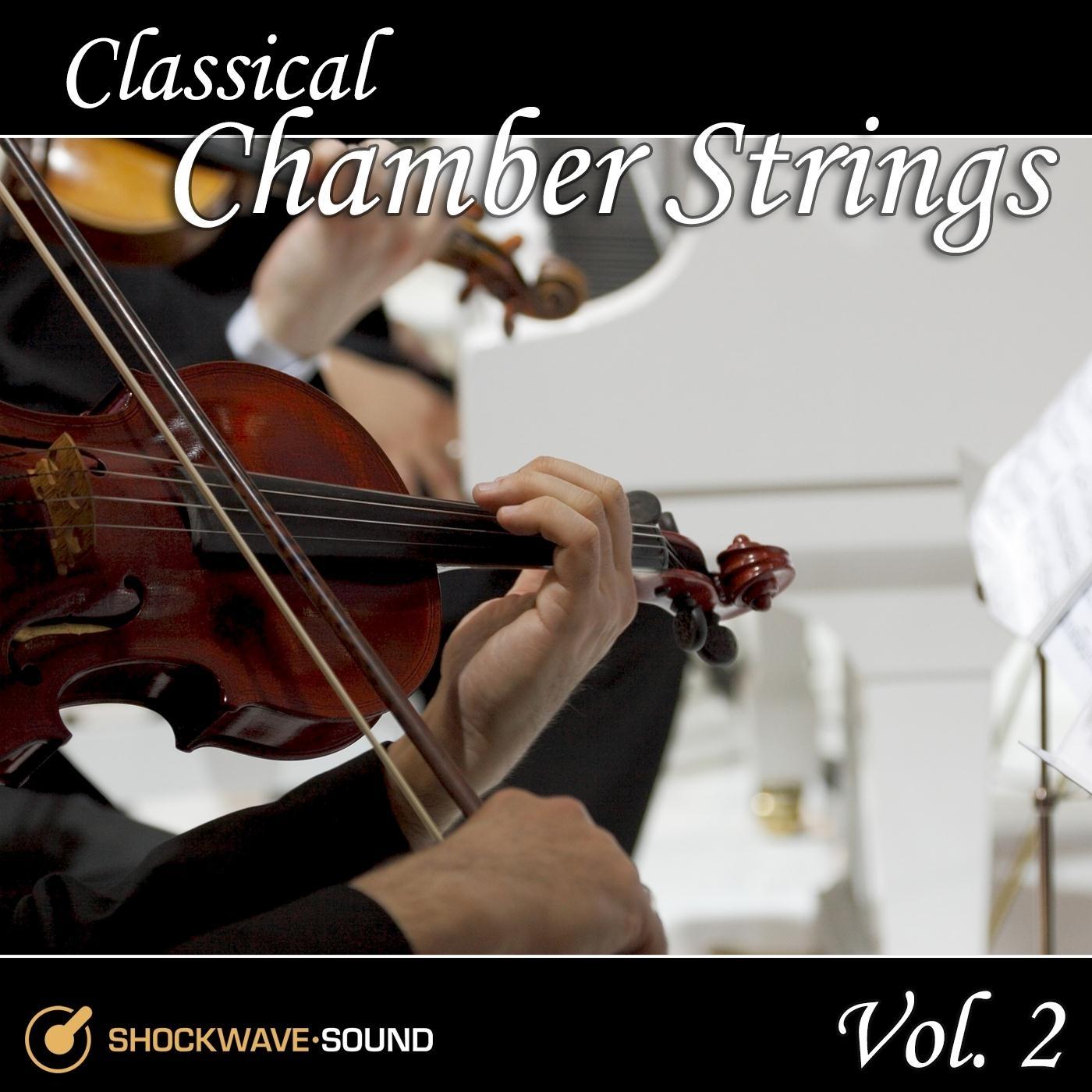 Classical Chamber Strings, Vol. 2