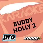 Zoom Karaoke - Buddy Holly 2专辑