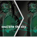 soul bite the sky专辑