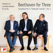 Piano Trio No. 3 in C Minor, Op. 1, No. 3:IV. Finale. Prestissimo