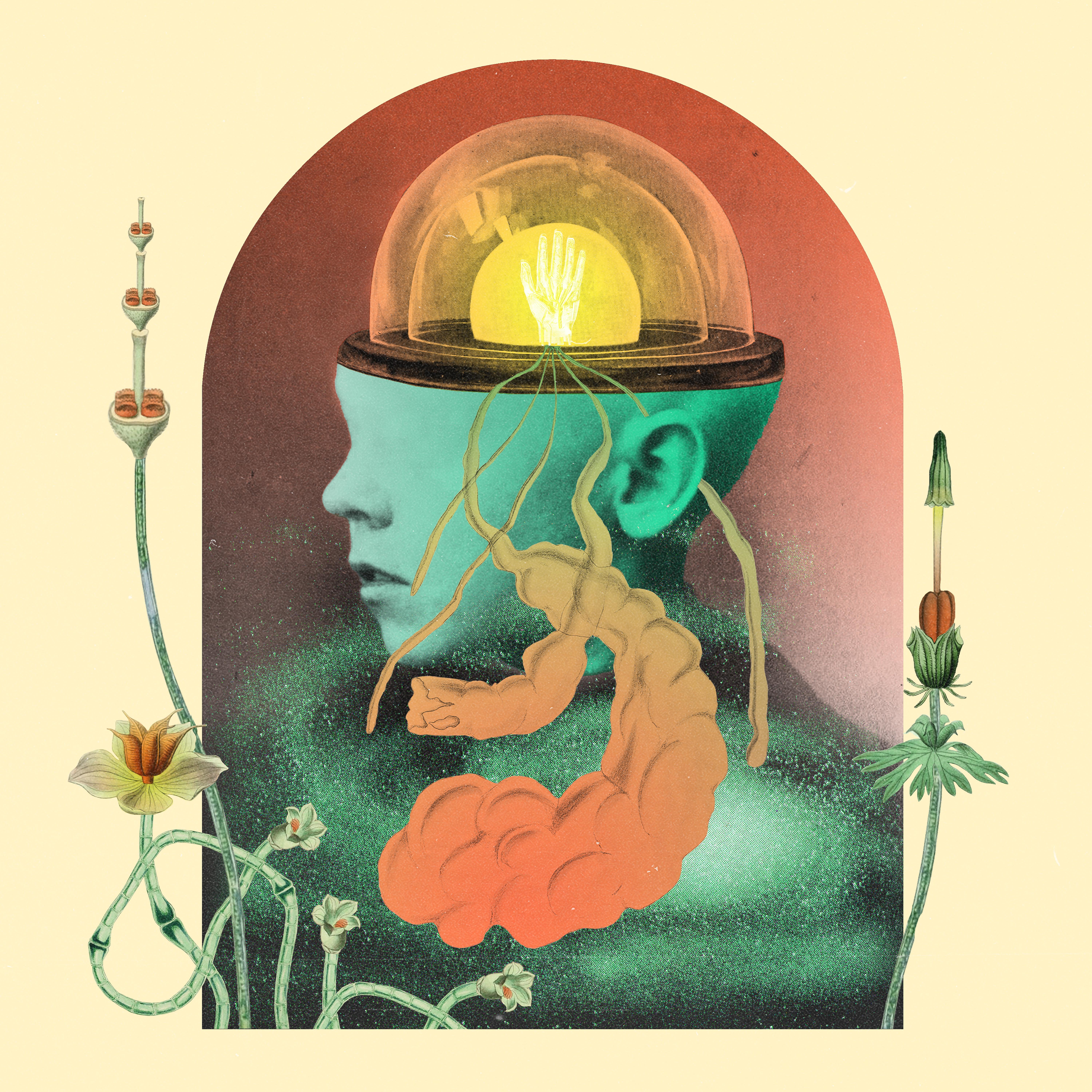 Exhaustion and the Open Mind