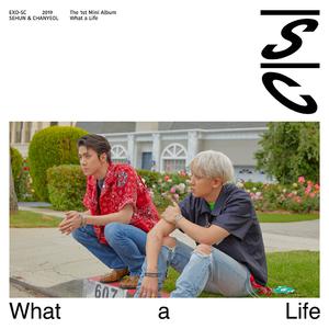 EXO-SC-What a life （降6半音）
