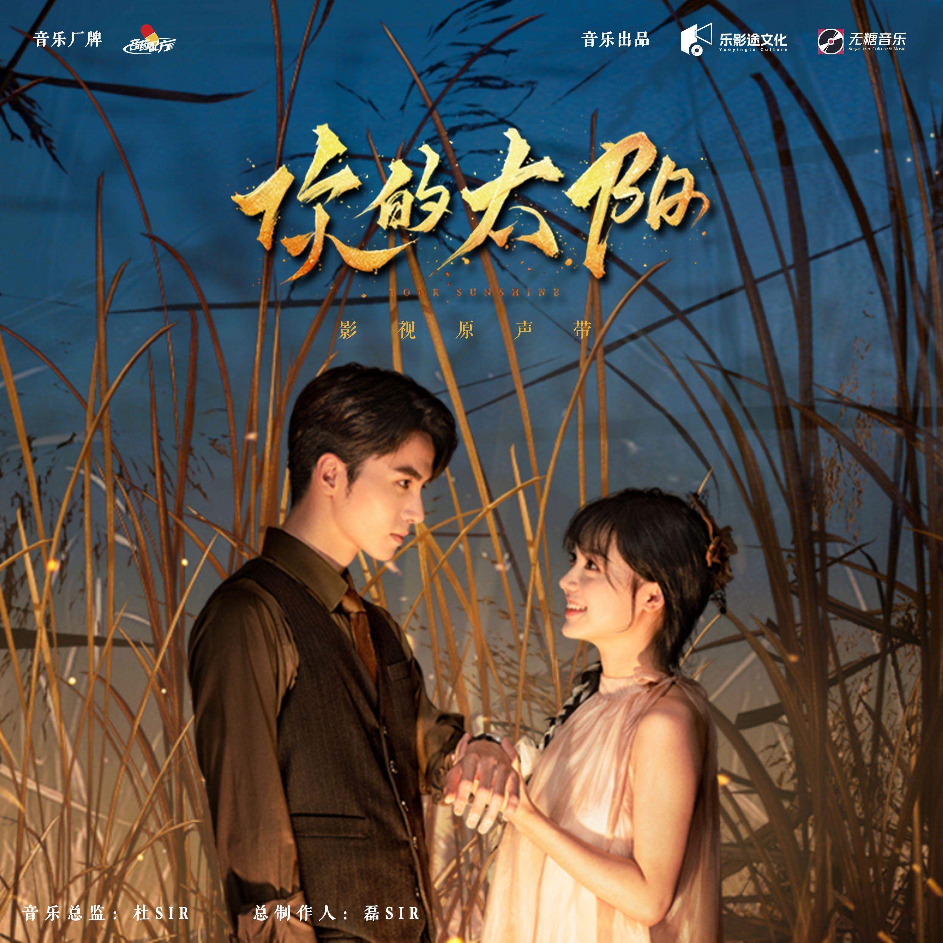 你的太阳 影视原声带
