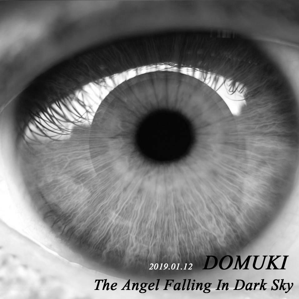 The Angel Falling In Dark Sky专辑