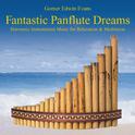 Fantastic Panflute Dreams: Instrumental Music for Relaxation专辑