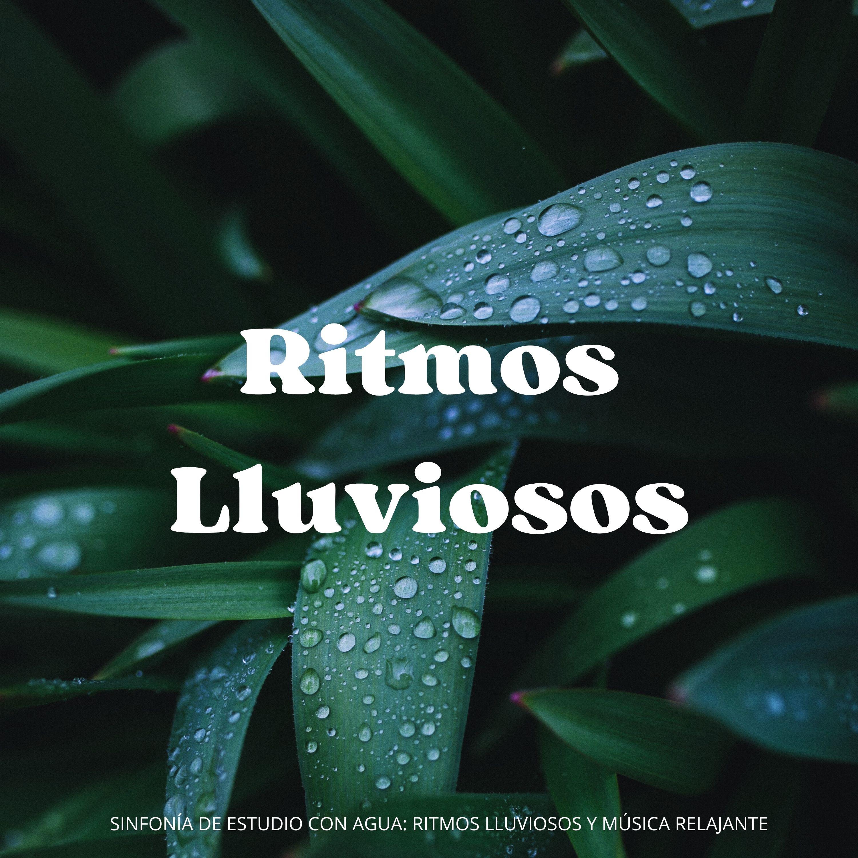 Fábrica De Lluvia - Discretos Ritmos De Lluvia