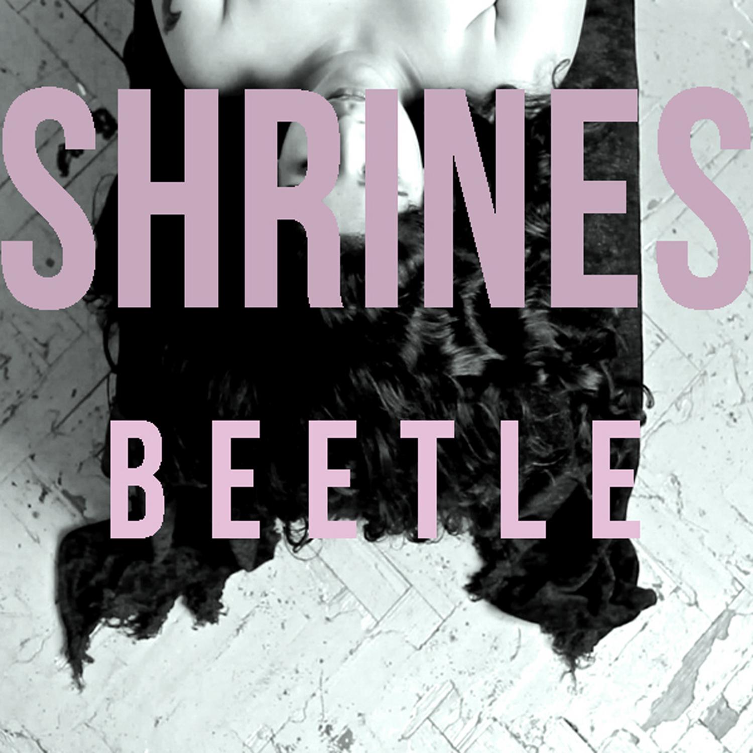 Beetle