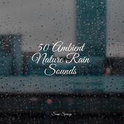 50 Ambient Nature Rain Sounds