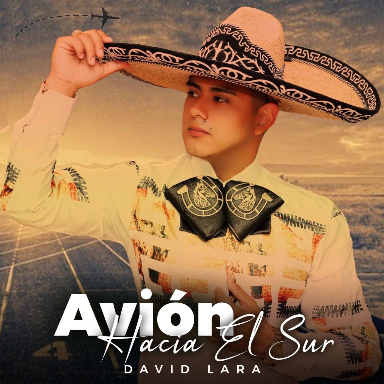 Avión Hacia El Sur