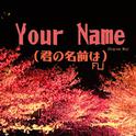 Your Name（君の名前は）专辑