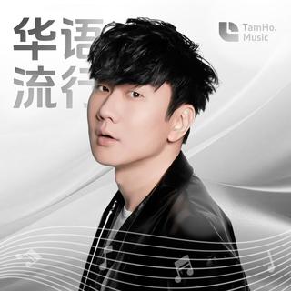 华语经典 | 那些属于我们青春的一首歌曲