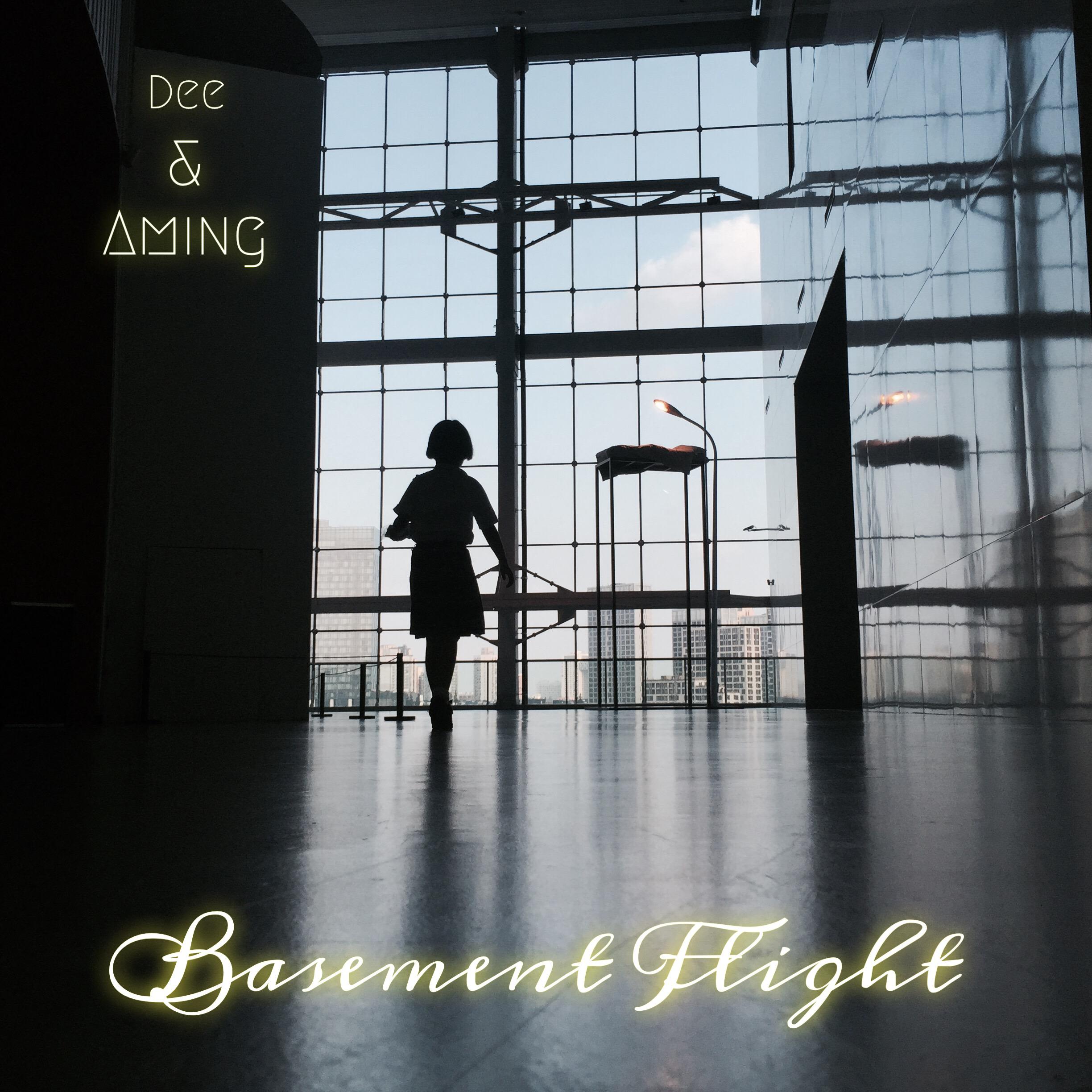 Basement Flight专辑