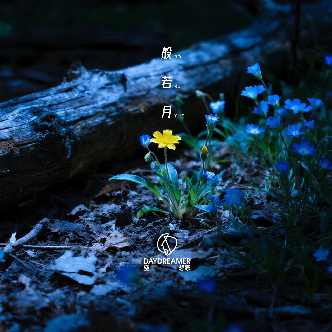 般若月