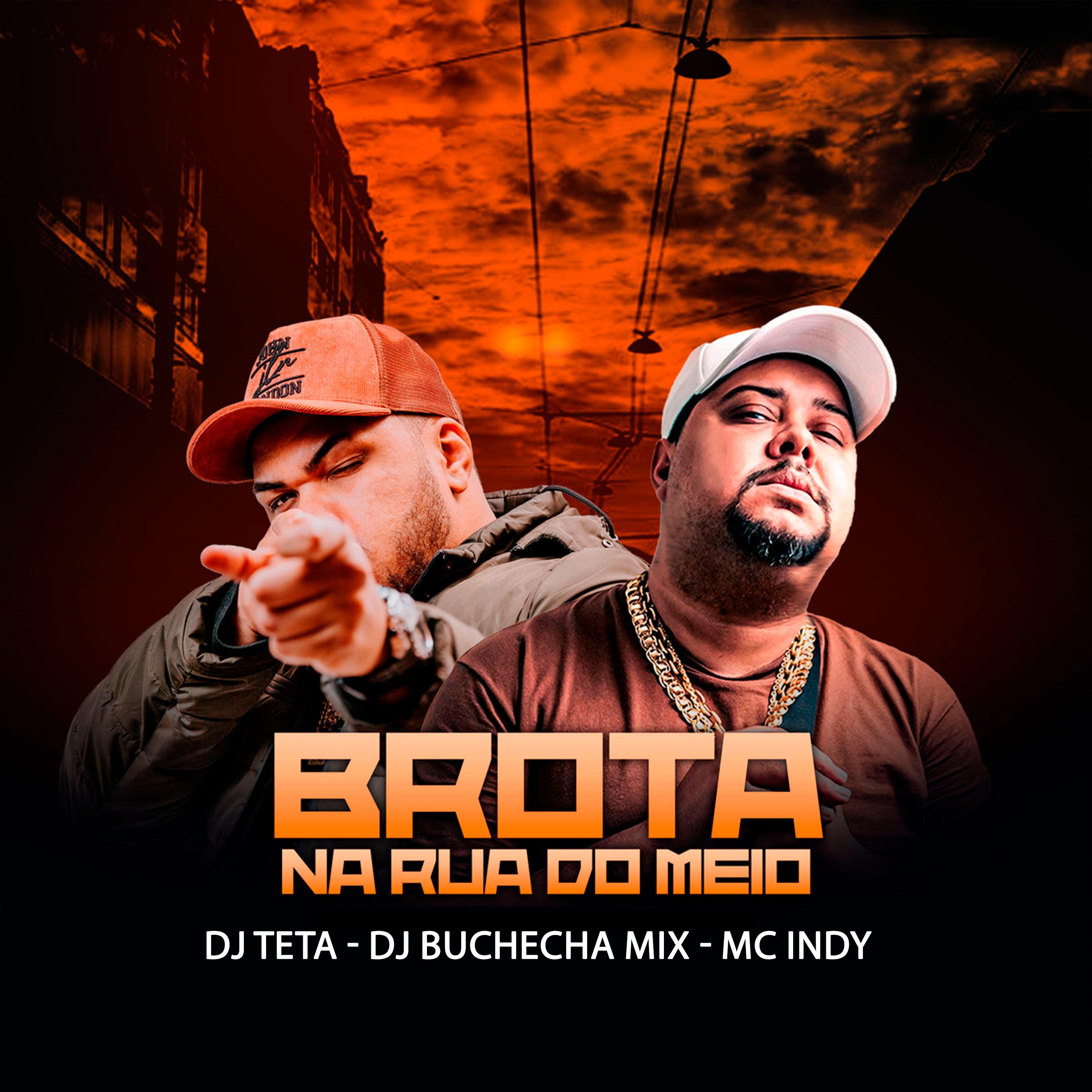 Dj Buchecha Mix - Brota na Rua do Meio