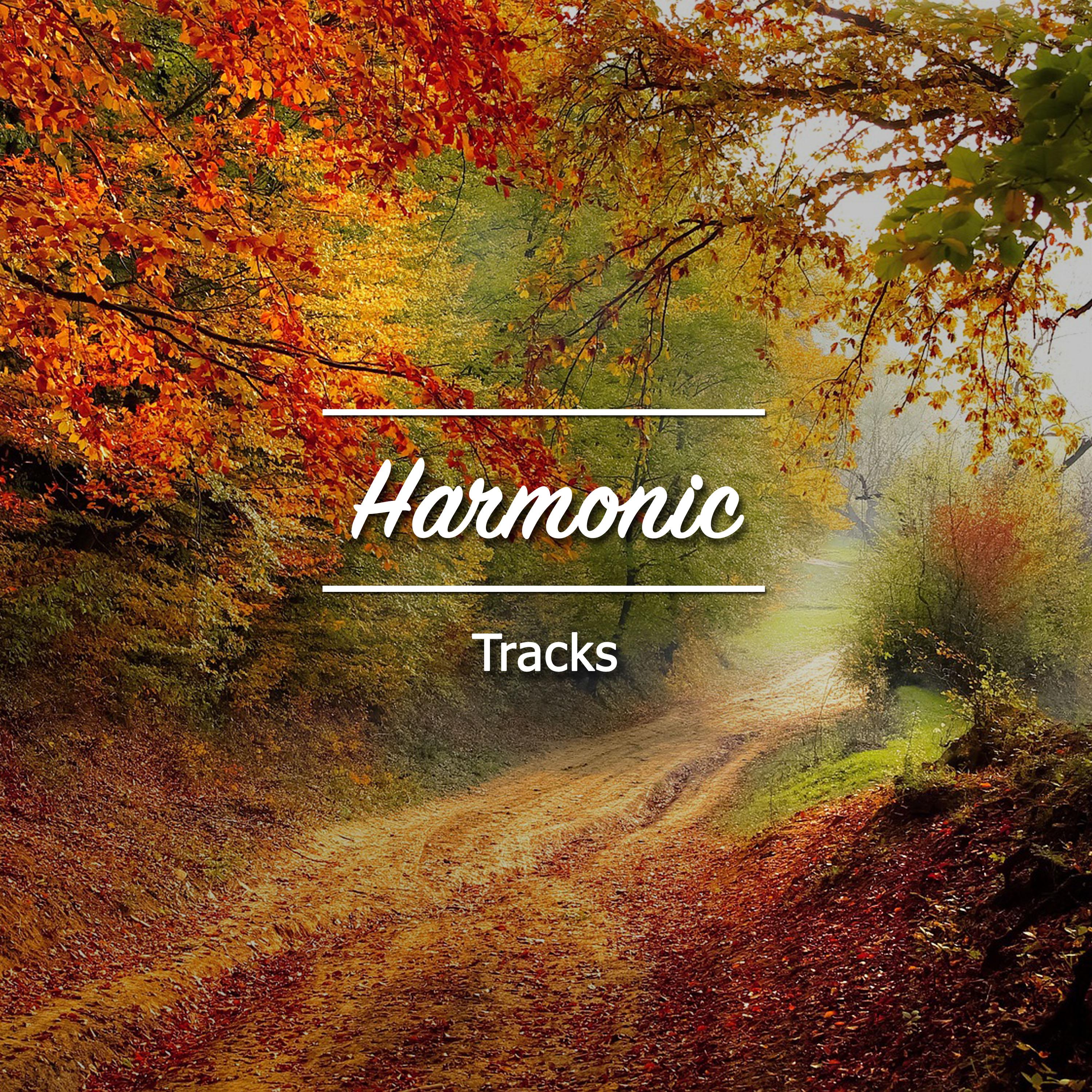 #10 Harmonic Tracks for Meditation and Sleep专辑