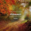 #10 Harmonic Tracks for Meditation and Sleep专辑