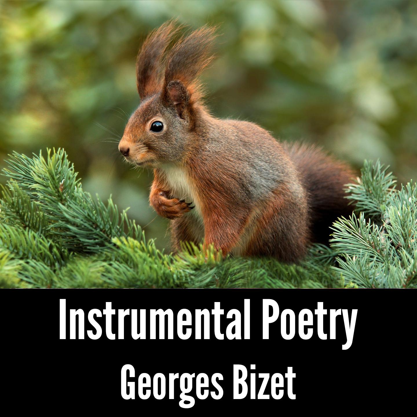 Instrumental Poetry: Georges Bizet专辑