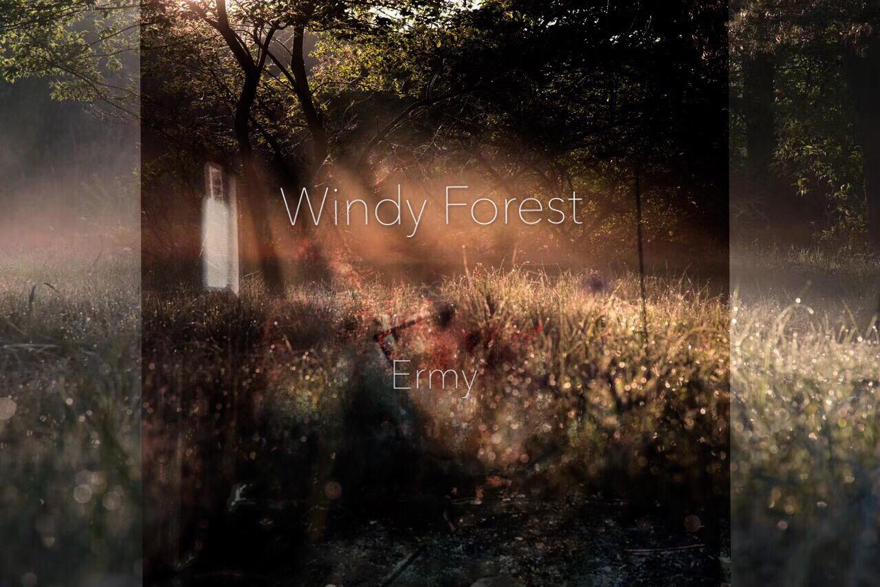 Windy Forest专辑