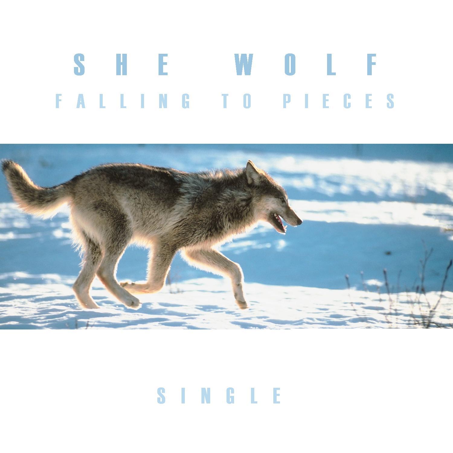 She Wolf (Falling to Pieces) - Single专辑