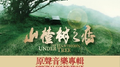 山楂树之恋 原声音乐专辑专辑