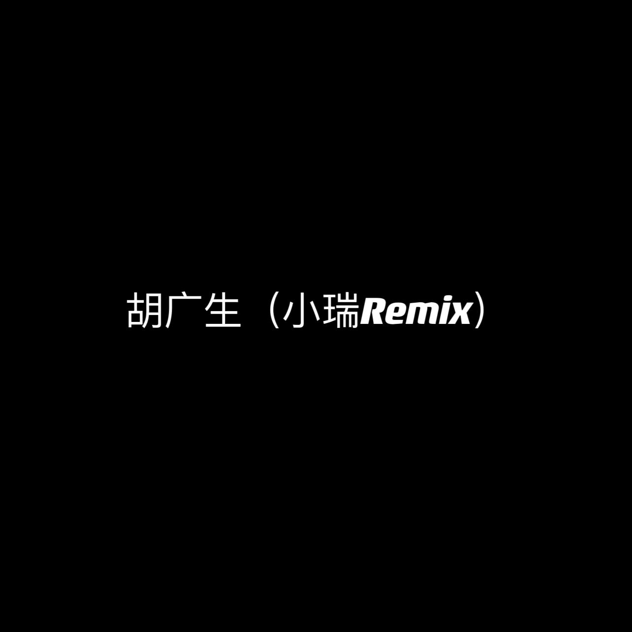 胡广生（小瑞Remix）