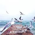 给人做嫁衣
