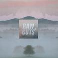 Chillhop Raw Cuts 2